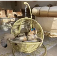 Gugalno ležišče za mačke in majhne pse z mehko blazino, sivo