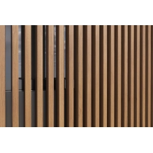 WPC leseni brisolej LT-04A, 3D žitni les, AURORA, 100x53x2900 mm