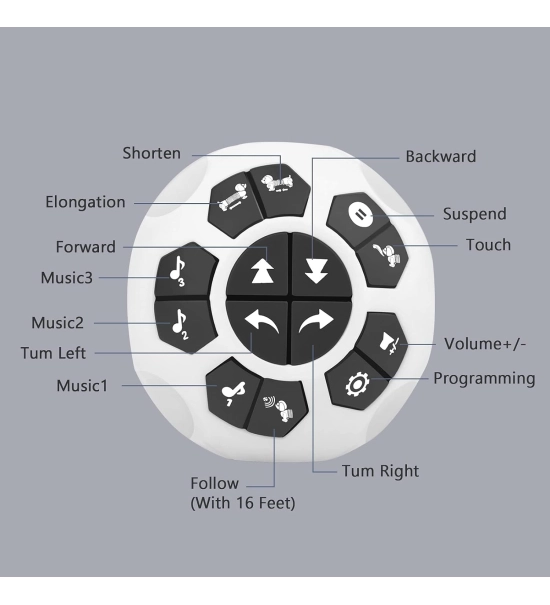 Robotski pes DOGGY, jazbečar, otroška igrača, daljinski upravljalnik + spremljanje