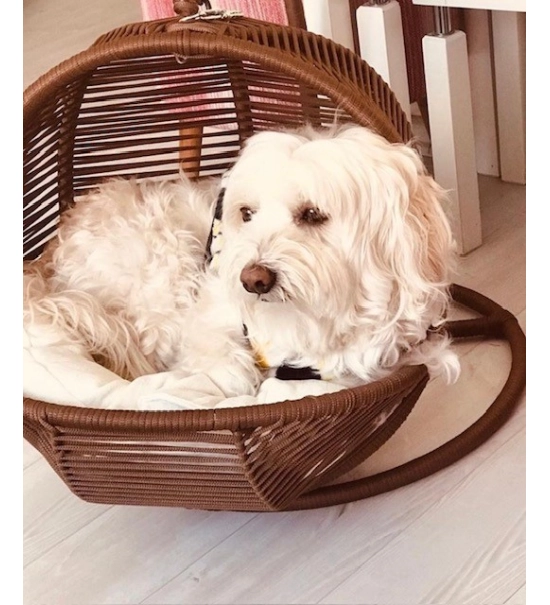 Gugalno ležišče za mačke in majhne pse z mehko blazino, oranžna