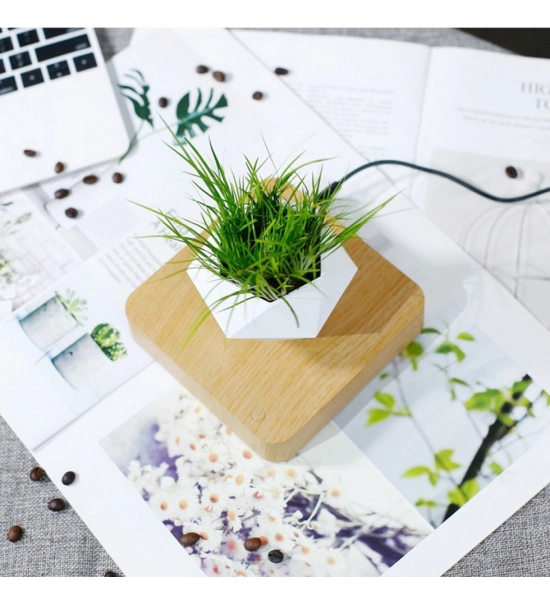 Lebdeči lonček, z magnetnim delovanjem, bela, Bonsaj, baza oreh