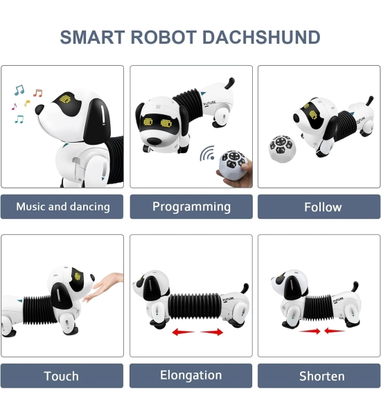 Robotski pes DOGGY, jazbečar, otroška igrača, daljinski upravljalnik + spremljanje