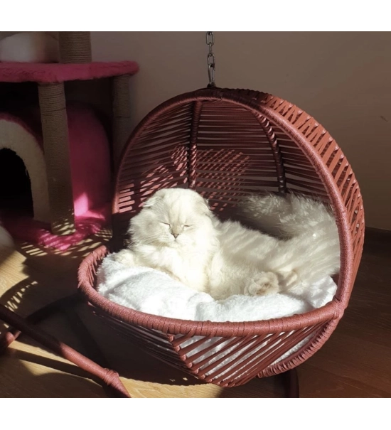 Gugalno ležišče za mačke in majhne pse z mehko blazino, oranžna