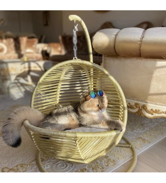 Gugalno ležišče za mačke in majhne pse z mehko blazino, sivo